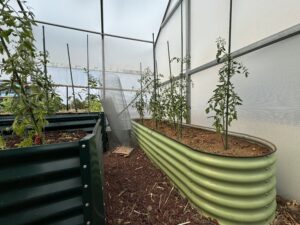thermal mass in greenhouse